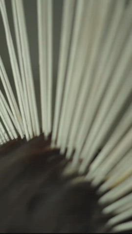 ass boobs desi teasing time lapse gif