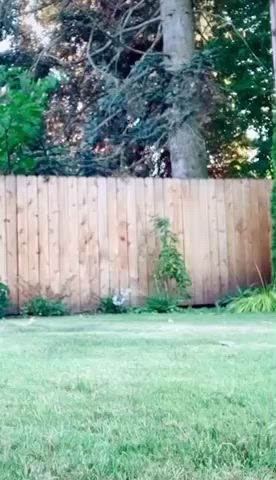 asshole humiliation outdoor public pussy lips gif