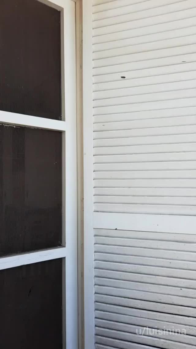 O