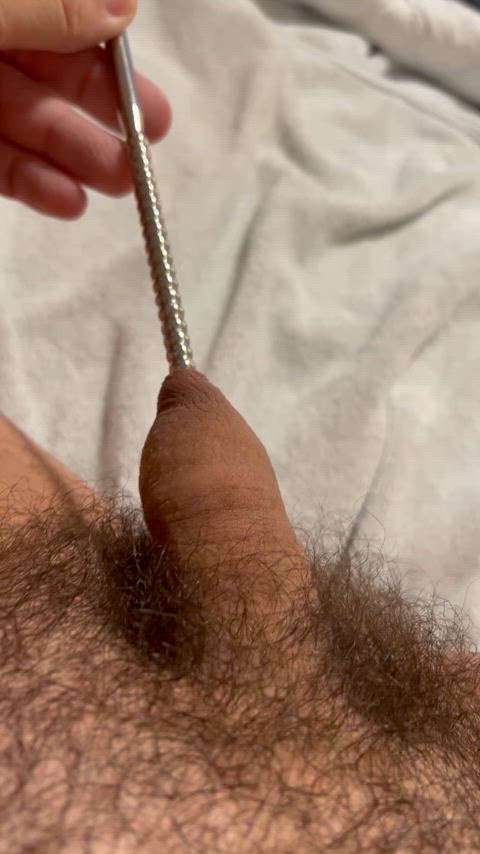 bear sounding uncut gif