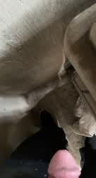 Pee Pissing Public gif