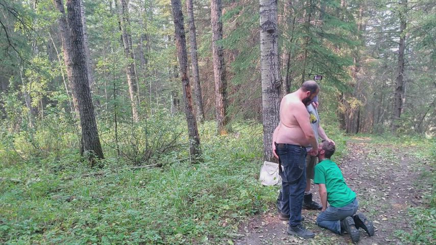 Bears and an otter in the woods