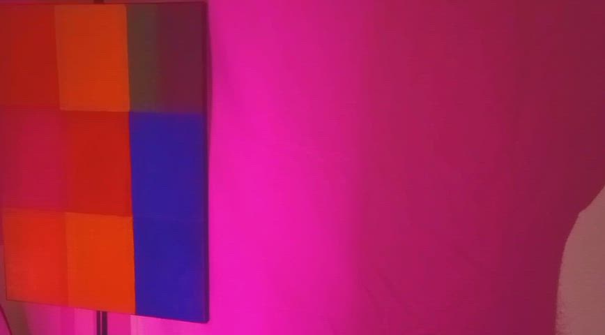 A painting and the artist's shadow 