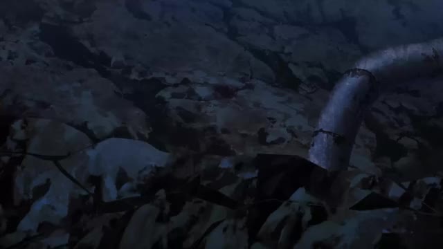 anime gif