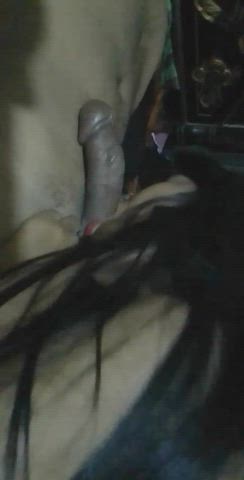 Slutty Bangla babe sucking her boyfriend dick link in comment