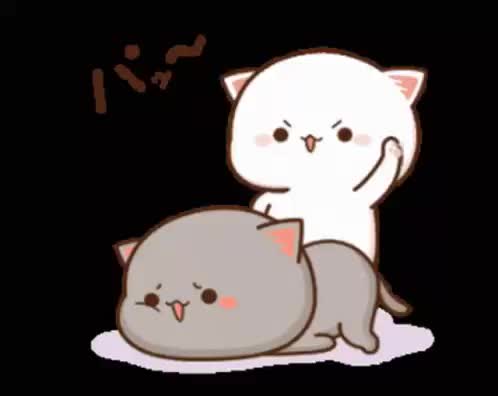 animation anime gif