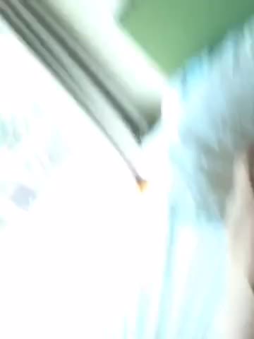 wife gif