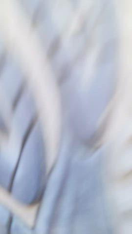ass big ass big tits blonde boobs booty natural tits tits forty-five-fifty-five gif