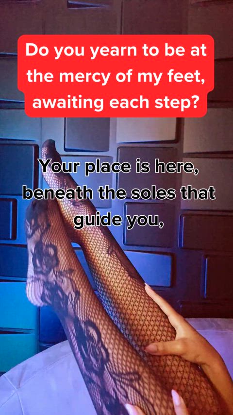 betaslave caption feet feet fetish master/slave slave foot-queen footslave-captions