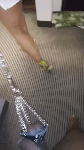 Ballbusting Balls CBT Femdom Interracial Leash gif
