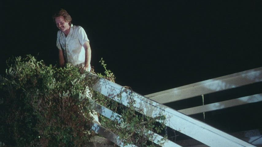 British Celebrity Cinema Nudity gif