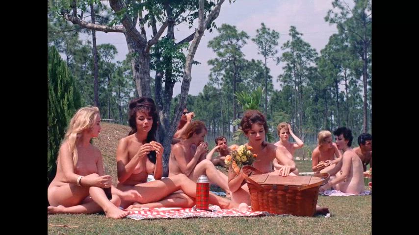 Group - Gentlemen Prefer Nature Girls (US1963) (1/6) - picnic