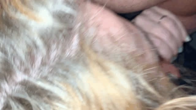blonde blowjob cum cum in mouth cumshot hotwife milf onlyfans vixen gif