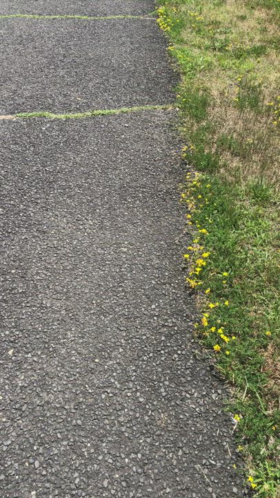 Happy trails