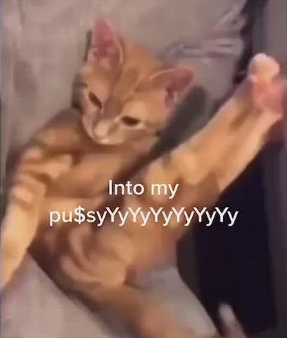 catsuit pov pussy gif