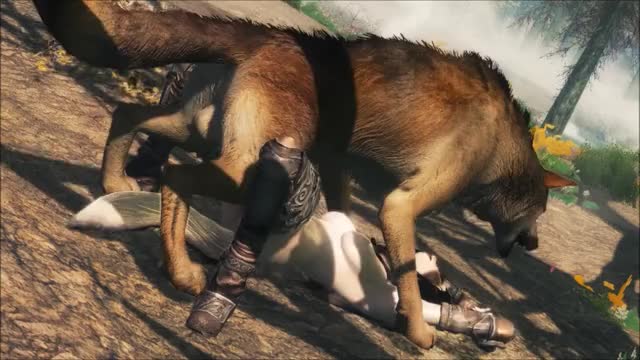 wolf3