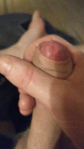 Cock Masturbating Oiled Porn GIF by shypervert666