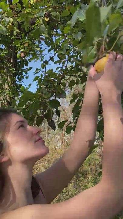 Naked fruit picking is today’s activity