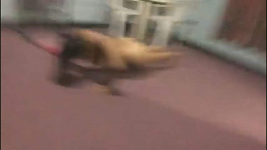 Desi Indian Girl with Big B00bs Enjoying with Gym Trainer🥵 Must Watch - Full Video😍🔥