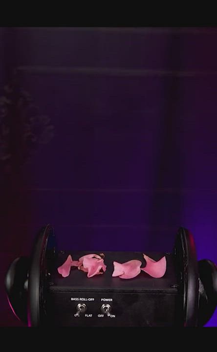Pog
