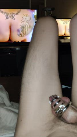 chastity cumshot orgasm gif