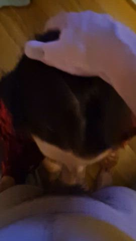  gif