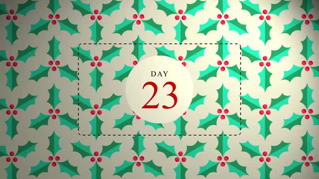 Day 23