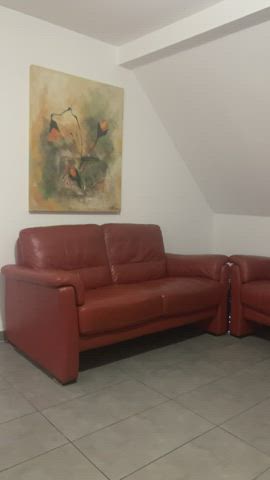 i hope someone here could breed me in this couch.. ?