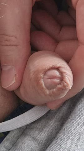 (44) Close up of my dutch sliding skin.