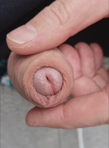 wat je ziet als je op je knieen voor me zit.