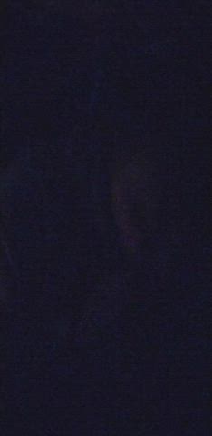 Amateur GIF by flhornyusmcvet
