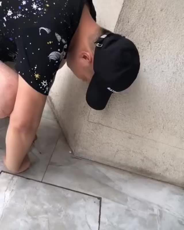 벽 속에 갇힌 고양이 구하기