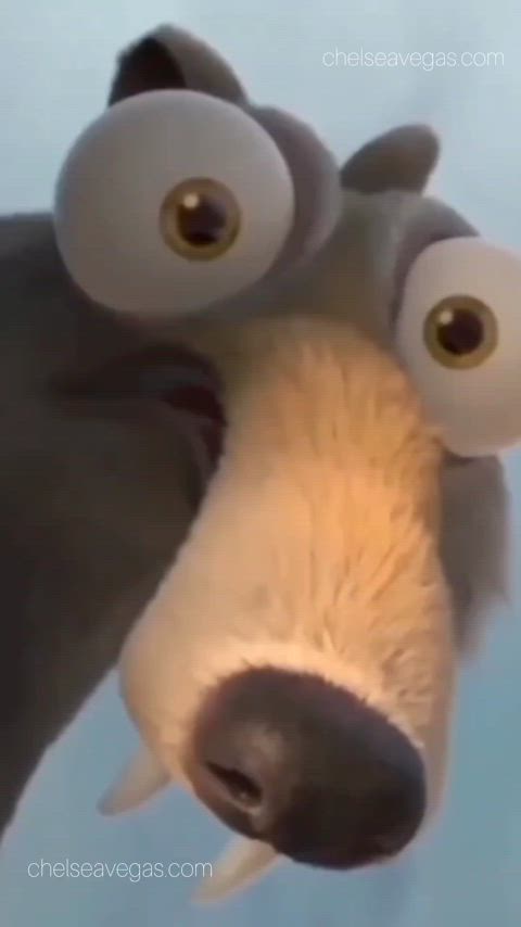 How I hope my followers view my profile 😂😍