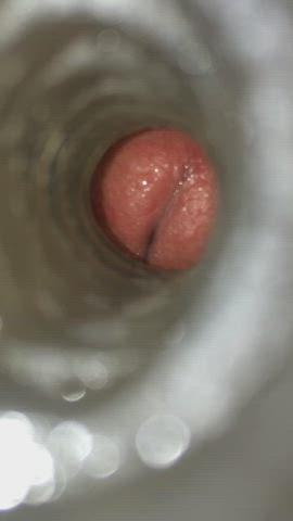 creampie cum cumshot fleshlight jerk off gif