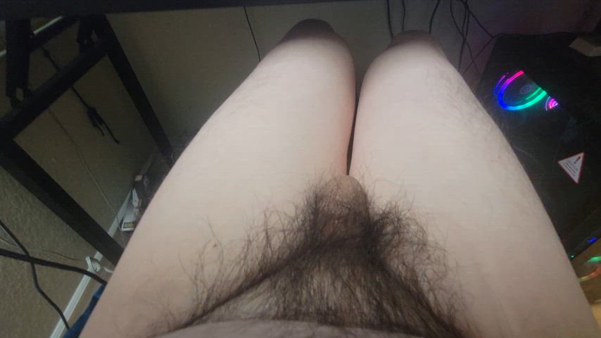 asian chubby erection hairy cock small dick gif