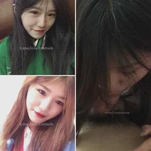Amateur Asian Teen Blowjob Homemade NSFW Porn GIF by iloveasiann