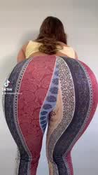 Ass Big Ass TikTok Twerking gif