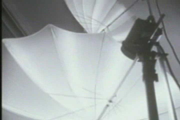 Brunette Hairy Pussy Huge Tits Italian Model Playboy Retro USA Vintage gif