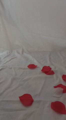 feet feet fetish latina gif