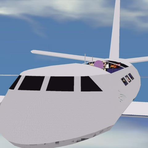 Flying in a High Class Hooker to Deepthroat and Choke on my Dick