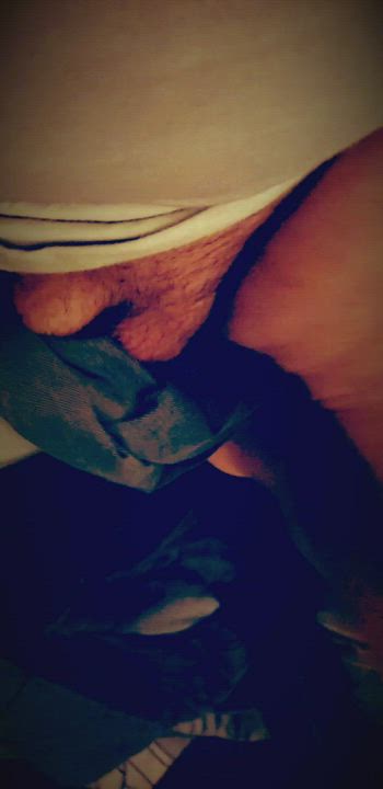 Balls Cock Hairy Cock Naked Nude Penis Surprise gif