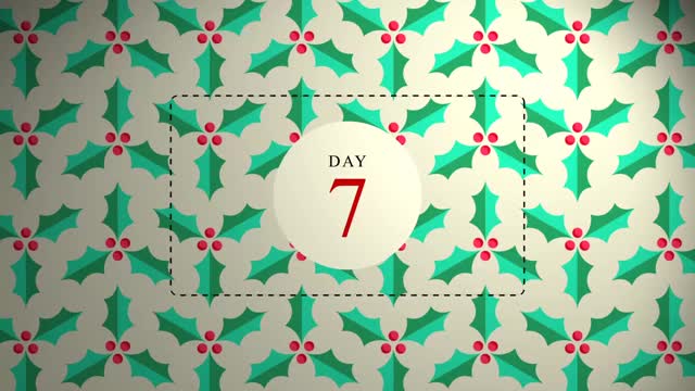 Day 7