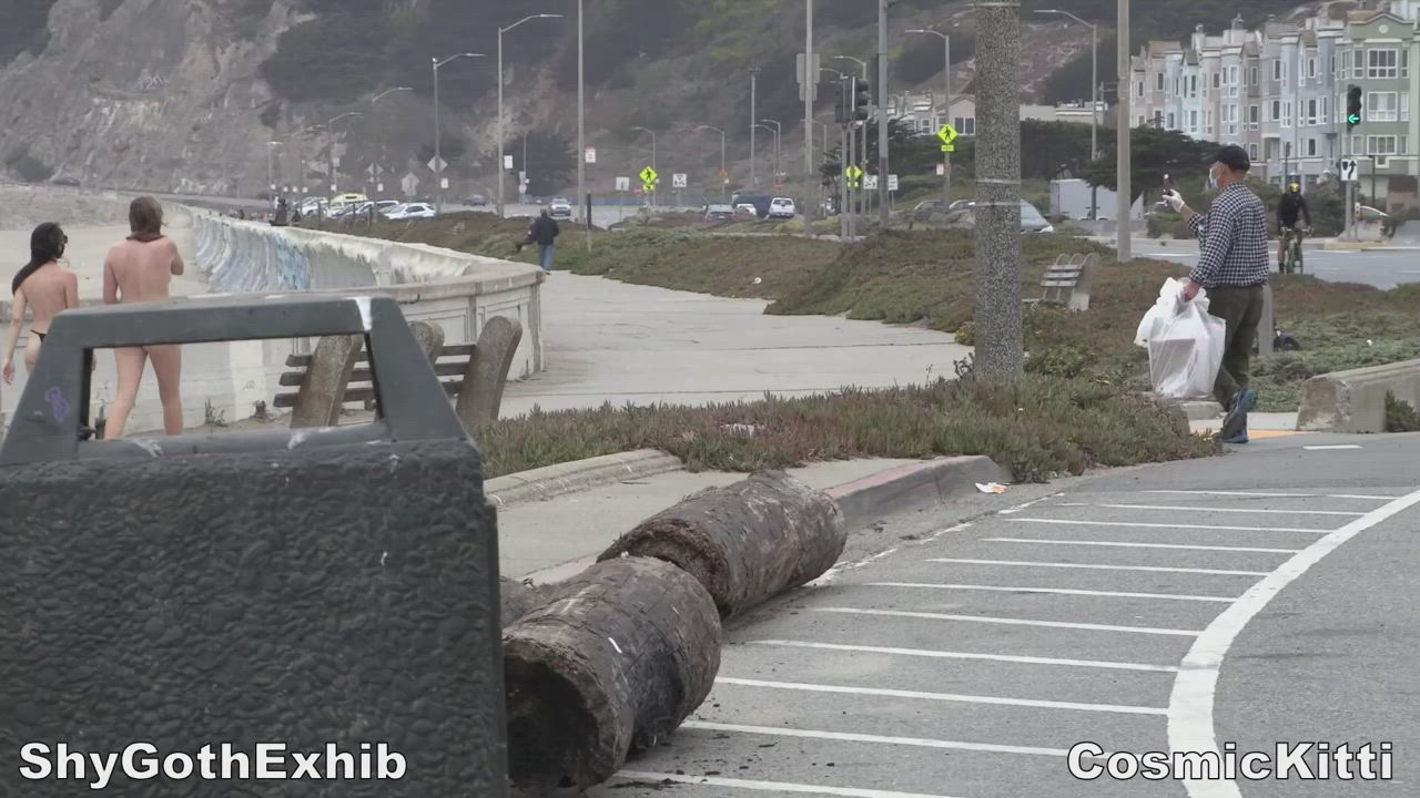 Babe Nudist Public gif