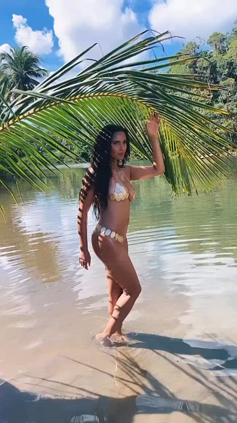 bikini milf sensual gif