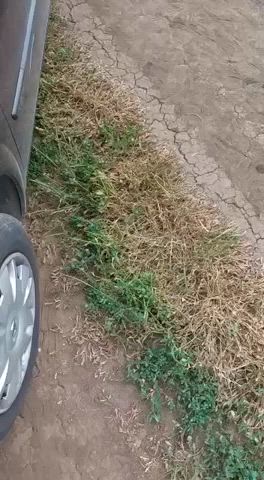who else loves car sex?