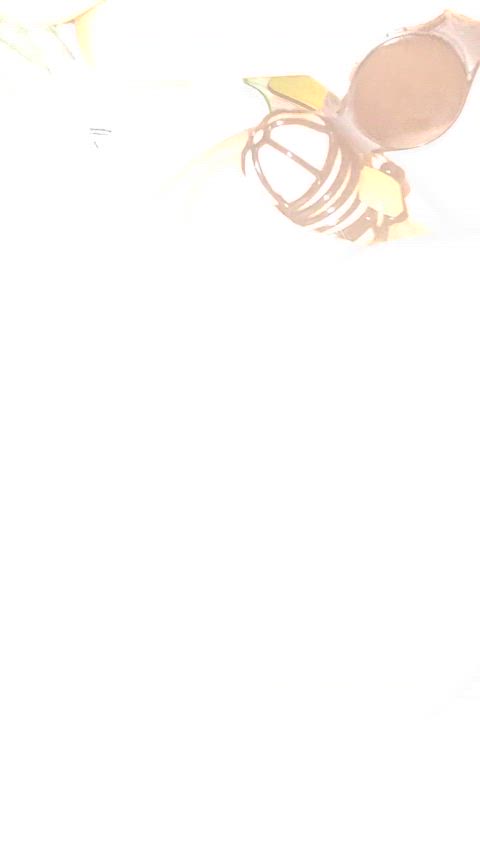 ass spread bdsm bwc booty chastity gay homemade sissy sissy slut skinny gif