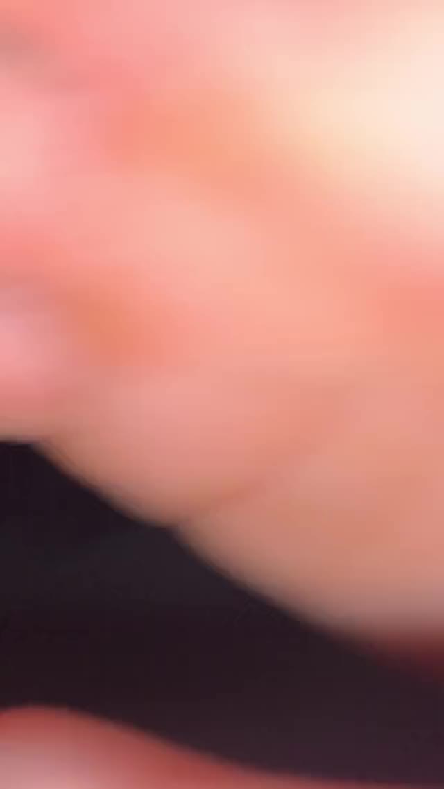 IMG 4981