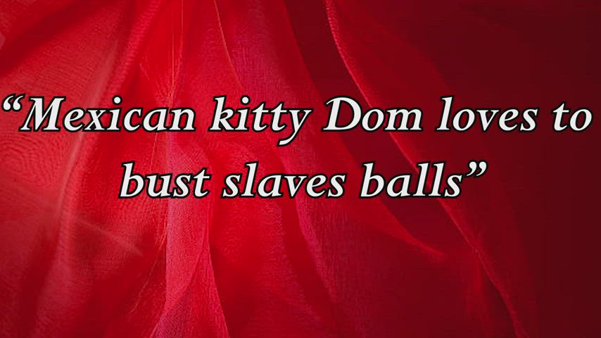 Cute Mexican Kitty Dom Busting Testicles
