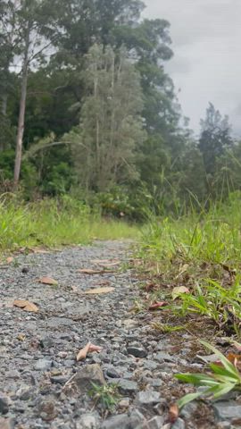 Can a naked walk be beaten?