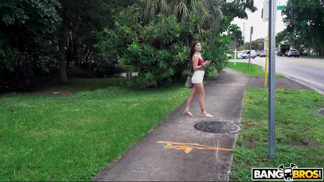 trailer_1500